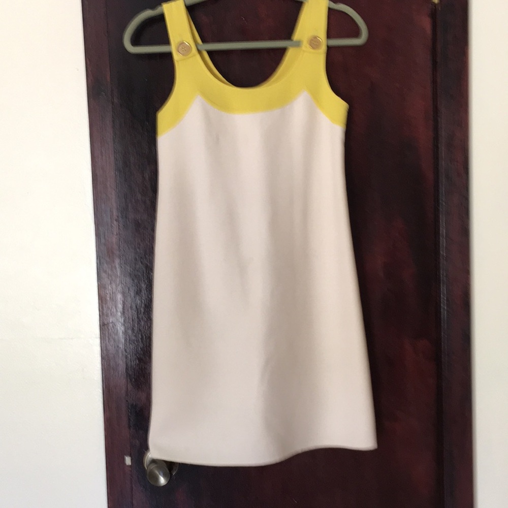 Gibo Co. Spa- shift dress size 4